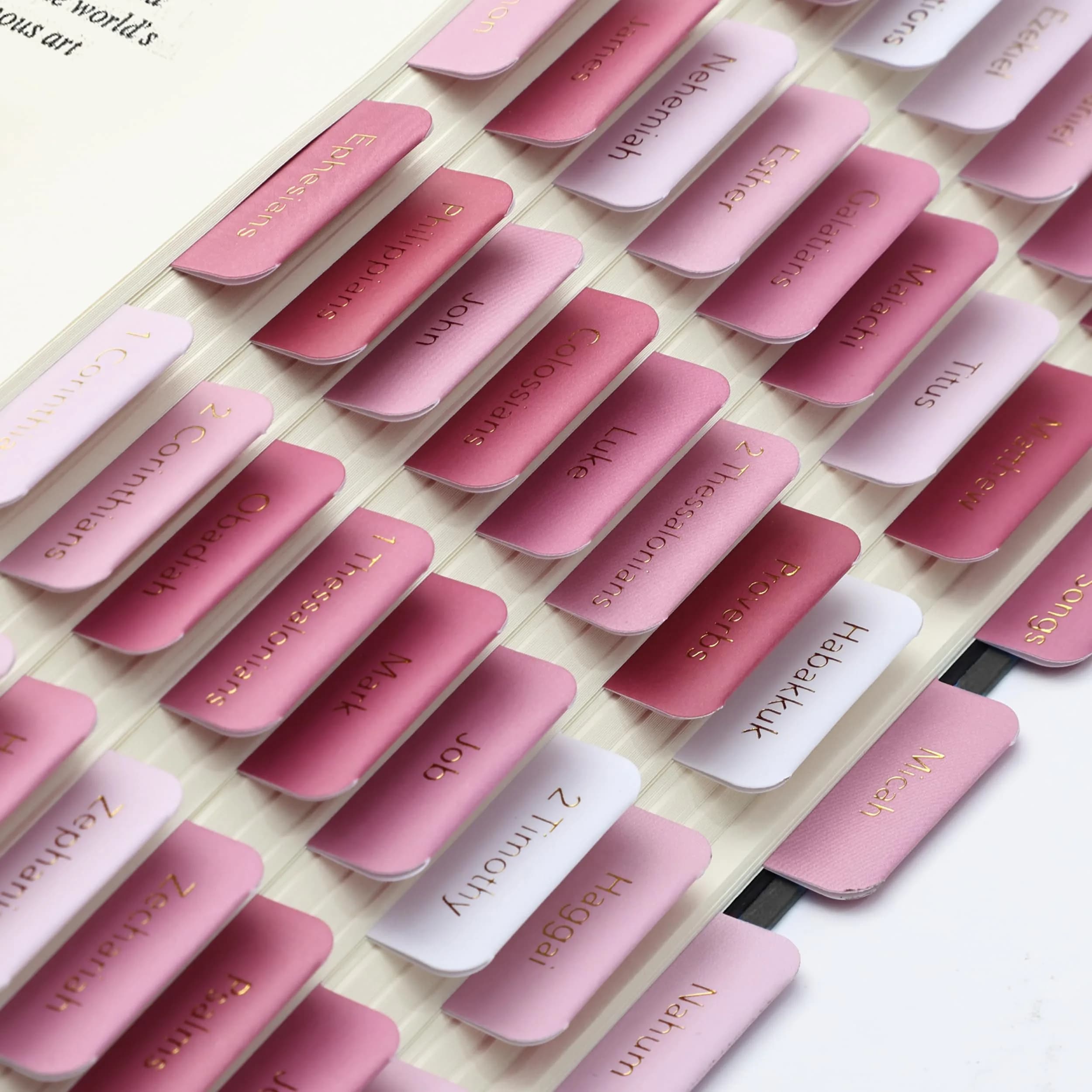Mr. Pen Pink Plum Orchard Bible Tabs (75 Tabs) | Gold Foil Embossed Lettering for Organized Study thumbnail 7