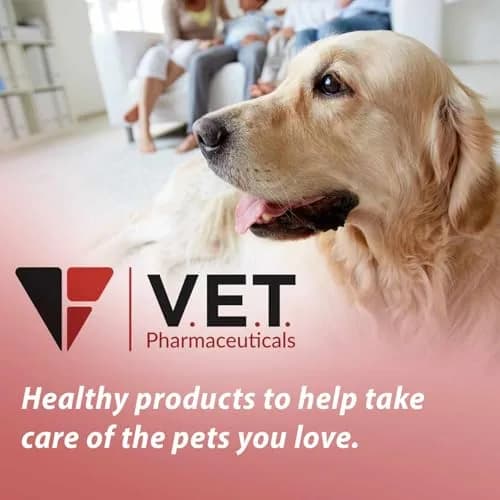 V.E.T. PHARMACEUTICALS DL Methionine Tablets 200mg | Urinary pH Support for Dogs & Cats thumbnail 2