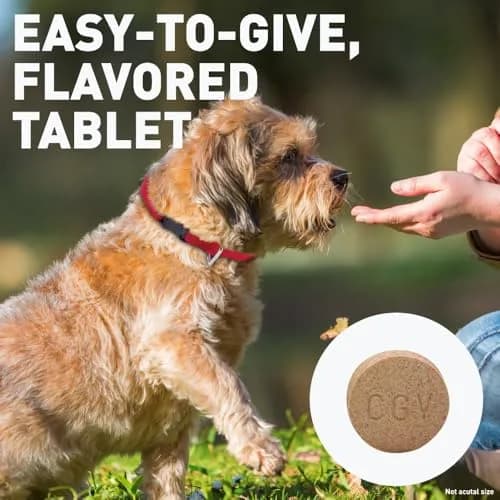 Interceptor for Dogs and Cats 11-25 lbs | Heartworm & Worms Prevention (enables pet health in India) thumbnail 3