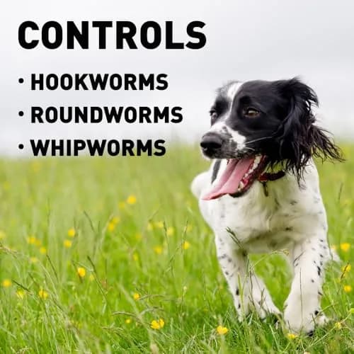 Interceptor for Dogs and Cats 26-50 lbs / 6.1-12 lbs | Heartworm & Worm Prevention thumbnail 5