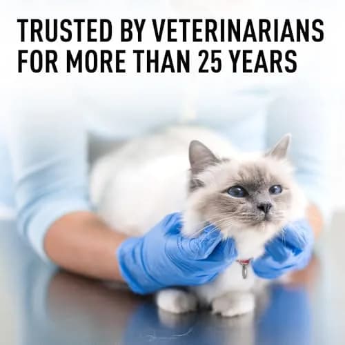 Interceptor for Dogs and Cats 26-50 lbs / 6.1-12 lbs | Heartworm & Worm Prevention thumbnail 6