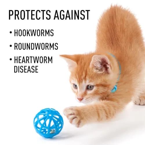 Interceptor for Dogs and Cats 26-50 lbs / 6.1-12 lbs | Heartworm & Worm Prevention thumbnail 8