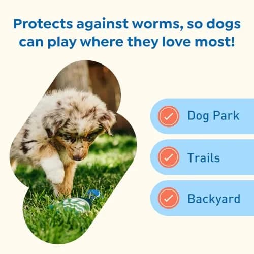 Interceptor Plus Monthly Tablets for Dogs 2-8 lbs | Heartworm & Worms Protection thumbnail 5