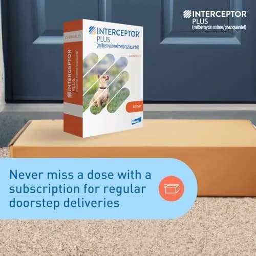 Interceptor Plus Monthly Tablets for Dogs 2-8 lbs | Heartworm & Worms Protection thumbnail 7