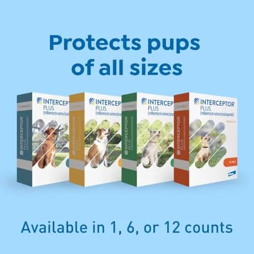 Interceptor Plus Monthly Tablets for Dogs 2-8 lbs | Heartworm & Worms Protection thumbnail 8