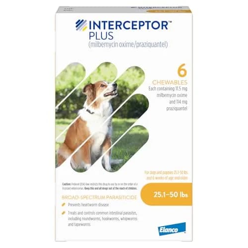 Interceptor Plus Monthly Tablets for Dogs 25.1-50 lbs | Heartworm & Worms Protection thumbnail 1