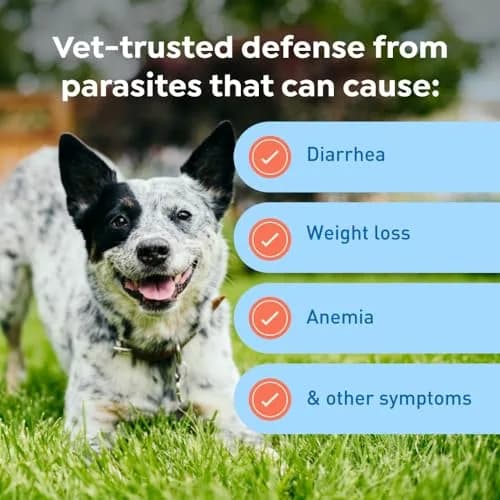 Interceptor Plus Monthly Tablets for Dogs 25.1-50 lbs | Heartworm & Worms Protection thumbnail 6