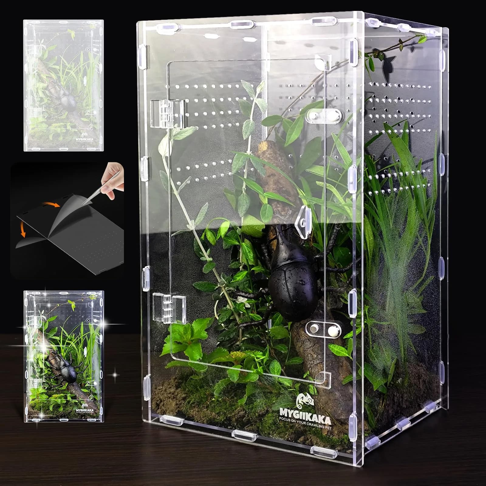 MYGIIKAKA Acrylic Jumping Spider Enclosure - Insect Terrarium for Spiders, Mantises, Tarantulas & Frogs | 37cm x 19cm x 20cm (14.6" x 7.7" x 8.1")