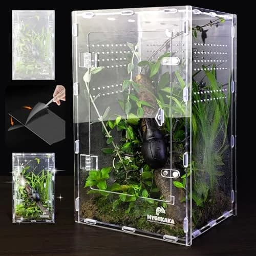 MYGIIKAKA Acrylic Jumping Spider Enclosure - Insect Terrarium for Spiders, Mantises, Tarantulas & Frogs | 37cm x 19cm x 20cm (14.6" x 7.7" x 8.1") thumbnail 1