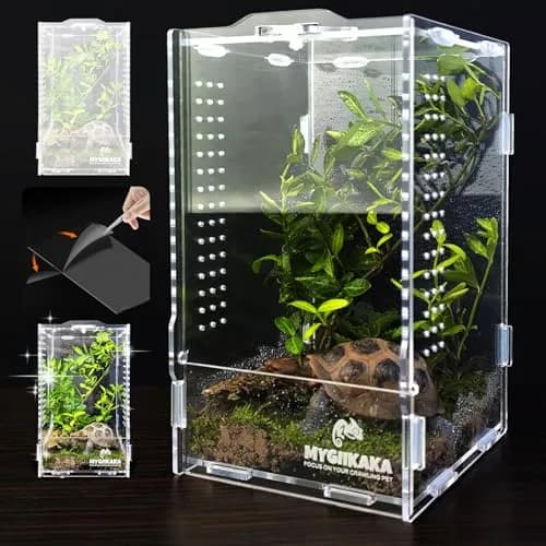 MYGIIKAKA Acrylic Jumping Spider Habitat 20cm (7.87") | Clear View Insect Terrarium for Small Pets thumbnail 1
