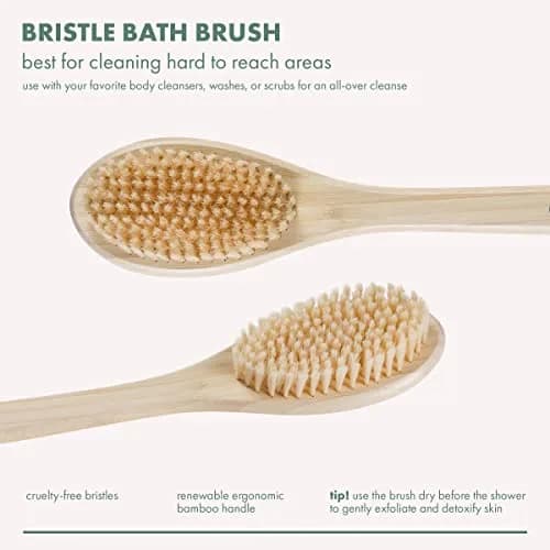 EcoTools Bristle Bath Brush with Long Bamboo Handle | Gentle Exfoliation for Back & Body (2-Pack) thumbnail 5