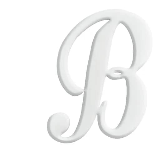 CTOHN Letter Charms for Bogg Bag, Alphabet Lettering Accessories (White, B) | Personalized DIY Bag Decor thumbnail 1