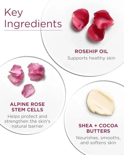 Andalou Naturals 1000 Roses Velvet Soft Body Butter 473ml (16 Fl Oz) | Advanced Rose Stem Cells for Dry Skin thumbnail 5
