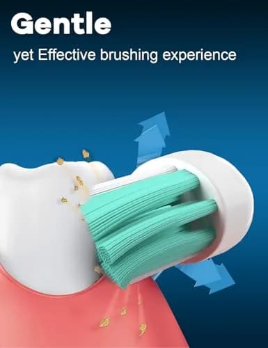 Toptheway Toothbrush Replacement Heads Compatible with Phillips Sonicare 4100/5100/C2/G2/C1, Medium Soft, 4 Pack | Genuine DuPont Bristles thumbnail 4