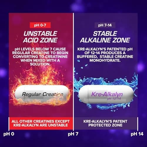 EFX Sports Kre-Alkalyn EFX pH-Correct Creatine Monohydrate Veggie Capsules 360 Count (Pack of 2) | Vegan Friendly Strength & Muscle Growth thumbnail 5