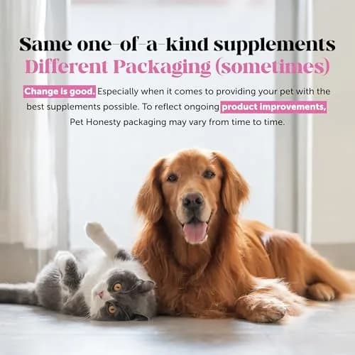 Pet Honesty Skin + Coat Health Oil for Dogs with Salmon Oil 355ml (12 oz) | Nutritionist Approved for Allergy Itch Relief thumbnail 9