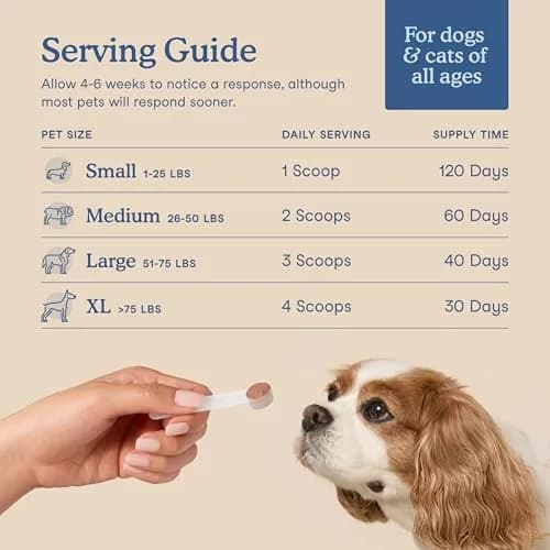 Fera Pets Postbiotics Plus Prebiotics for Dogs & Cats 60g (2.12 oz) | Digestive & Immune Support thumbnail 4