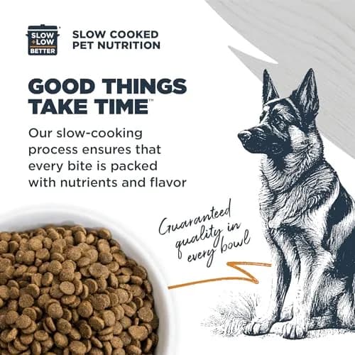 Blackwood Sensitive Premium Dry Dog Food, Lamb Meal & Brown Rice, 24 lb | Supports Skin & Digestion thumbnail 4