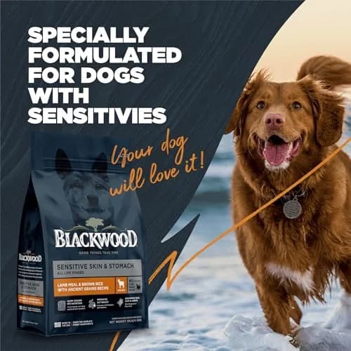 Blackwood Sensitive Premium Dry Dog Food, Lamb Meal & Brown Rice, 24 lb | Supports Skin & Digestion thumbnail 6