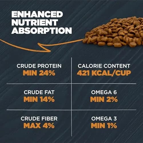 Blackwood Sensitive Premium Dry Dog Food, Lamb Meal & Brown Rice, 24 lb | Supports Skin & Digestion thumbnail 7