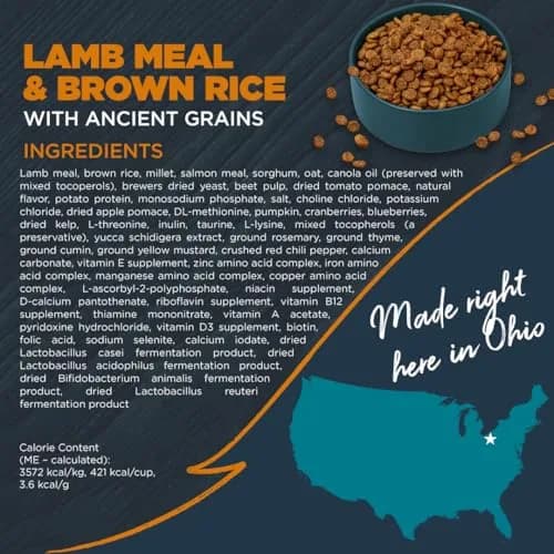 Blackwood Sensitive Premium Dry Dog Food, Lamb Meal & Brown Rice, 24 lb | Supports Skin & Digestion thumbnail 8