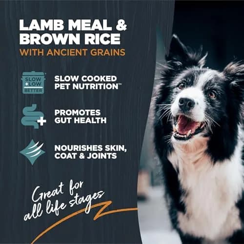 Blackwood Sensitive Premium Dry Dog Food, Lamb Meal & Brown Rice, 24 lb | Supports Skin & Digestion thumbnail 2