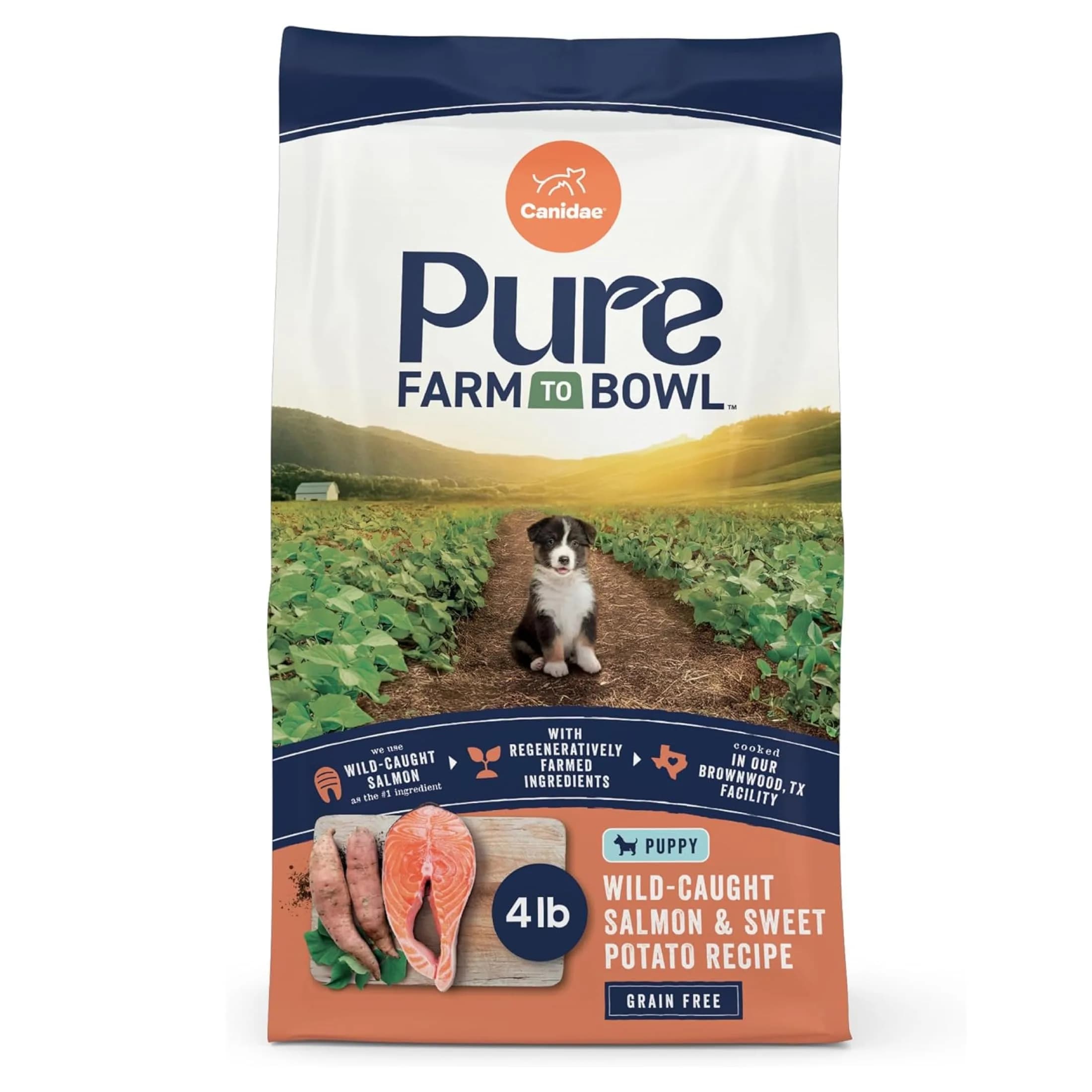 CANIDAE Puppy Dry Food Salmon & Sweet Potato | Limited Ingredient, Protein-Rich Nutrition - main product image