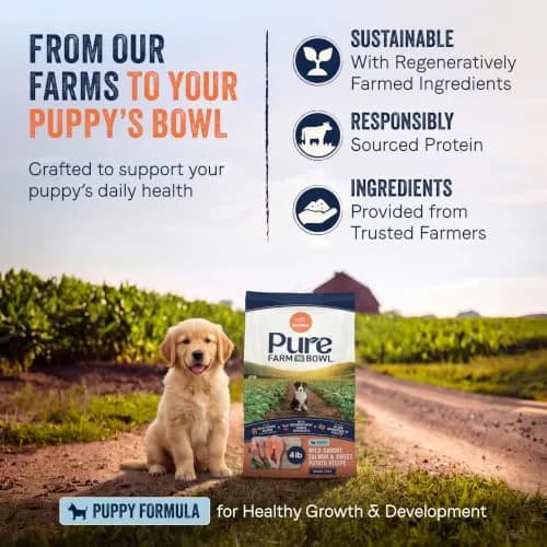 CANIDAE Puppy Dry Food Salmon & Sweet Potato | Limited Ingredient, Protein-Rich Nutrition thumbnail 3