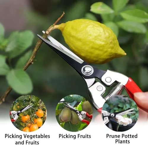 Kynup 3-Pack Bypass Pruning Shears Set with Gloves | Stainless Steel Blades & Soft Grip Handles thumbnail 6