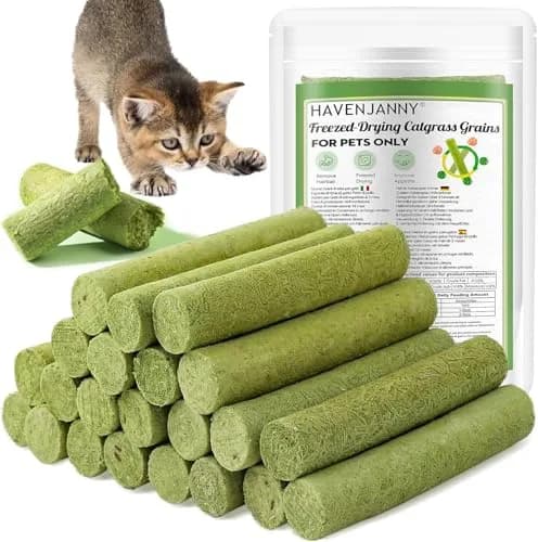 HavenJanny Cat Grass Teething Stick 100g (3.52 oz) | Chicken Flavor for Dental Health & Hairball Control thumbnail 1