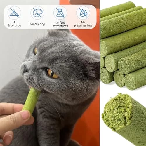 HavenJanny Cat Grass Teething Stick 100g (3.52 oz) | Chicken Flavor for Dental Health & Hairball Control thumbnail 6