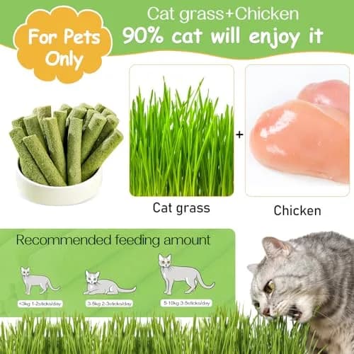 HavenJanny Cat Grass Teething Stick 100g (3.52 oz) | Chicken Flavor for Dental Health & Hairball Control thumbnail 2