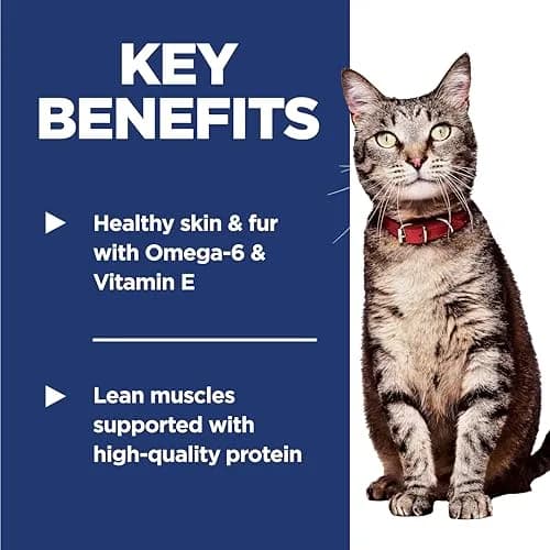 Hill's Science Diet Adult 1-6 Dry Cat Food Salmon & Brown Rice 1.59 kg (3.5 lb) | Veterinarian Recommended for Lean Muscle & Digestion thumbnail 3