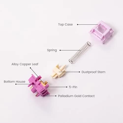Akko V3 Creamy Purple Pro Tactile Keyboard Switches (45pcs) | Smooth, Creamy, and Satisfying Typing Experience thumbnail 6