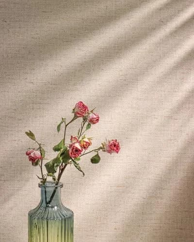lenify Beige Grasscloth Peel and Stick Wallpaper Textured 40cm x 300cm | Vintage Linen Style for Indian Homes thumbnail 9