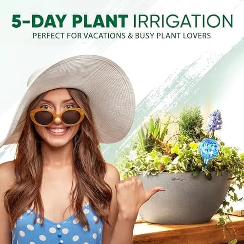 Mission Gallery Plant Watering Globes Set of 4 Small | 100ml Capacity for 5-Day Irrigation thumbnail 5
