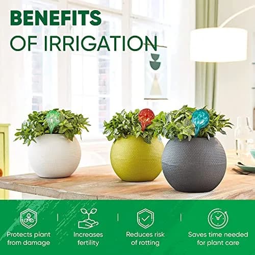 Mission Gallery Glass Plant Watering Globes Set of 4, Large 200ml | Automatic Irrigation for Indoor & Outdoor Plants thumbnail 4