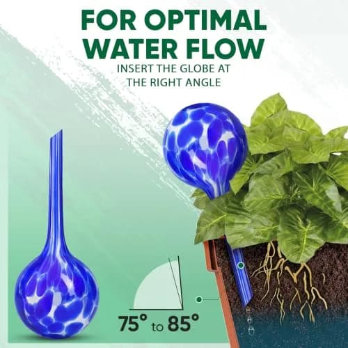 Mission Gallery Large Glass Watering Globes Set of 6, 200ml (6.76 Fl Oz) | Vacation Plant Watering thumbnail 7