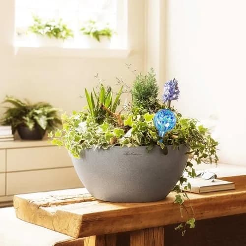 Mission Gallery Large Glass Watering Globes Set of 6, 200ml (6.76 Fl Oz) | Vacation Plant Watering thumbnail 2