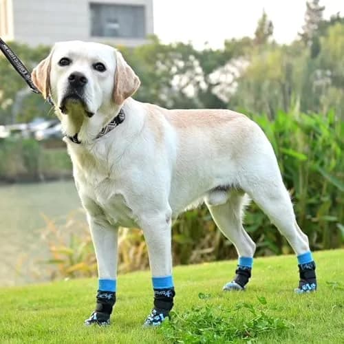 KOOLTAIL Dog Socks Shoes for Hot Pavement XL | Anti Slip Paw Protector for Senior Dogs thumbnail 8