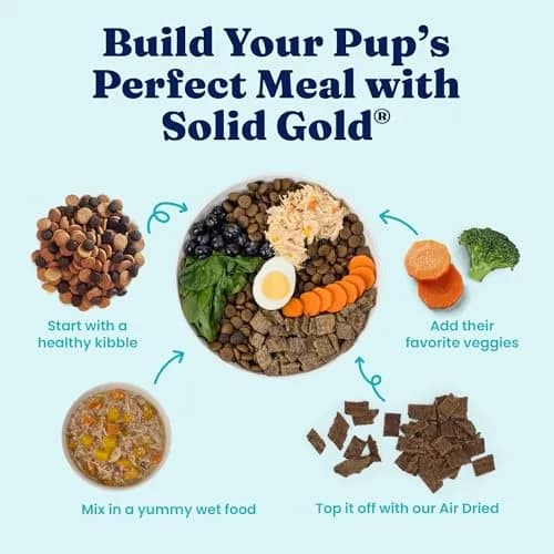 Solid Gold Wet Dog Food Topper, Beef & Veggies, 6ct | Supports Mobility & Gut Health thumbnail 7