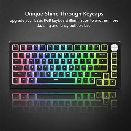 Womier Pudding Keycaps, Black PBT Shine Through Keycaps | Custom OEM Profile for MX Switches thumbnail 4