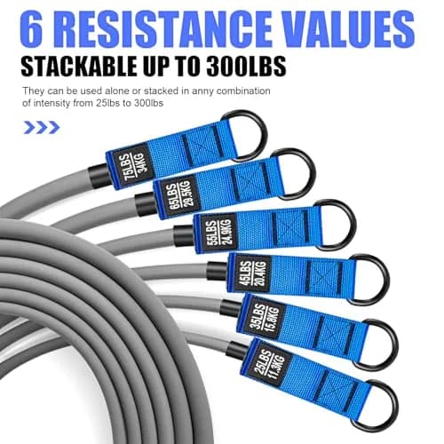 HPYGN 300lbs Heavy Resistance Bands Set with Handles, Door Anchor & Ankle Straps | 6 Levels for Muscle Training thumbnail 2