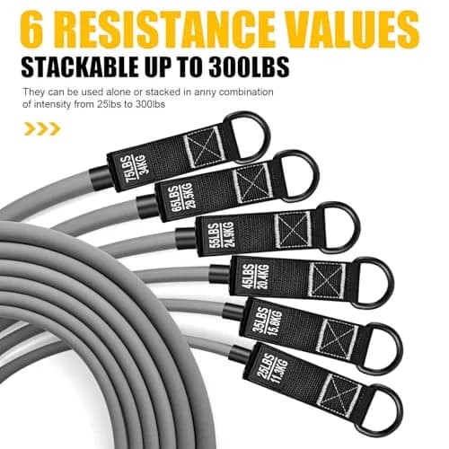 HPYGN 420lbs Heavy Resistance Bands Set with Handles, Door Anchor & Ankle Straps | 2.15 kg (4.74 lb) Total Resistance thumbnail 2