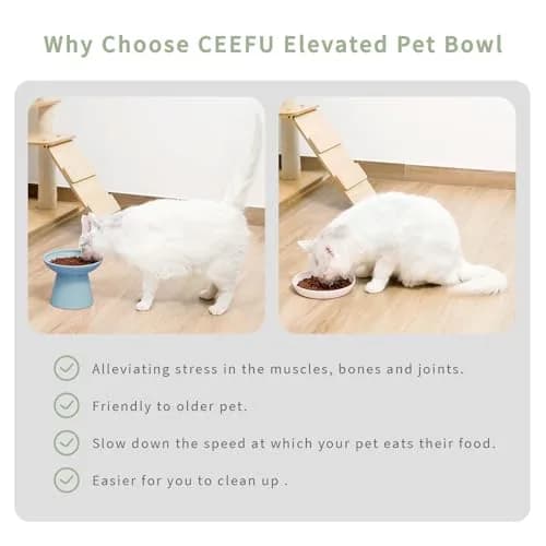 CEEFU 2-Pack Elevated Ceramic Cat Bowls Extra Wide | Whisker-Friendly, Durable & Stylish thumbnail 4