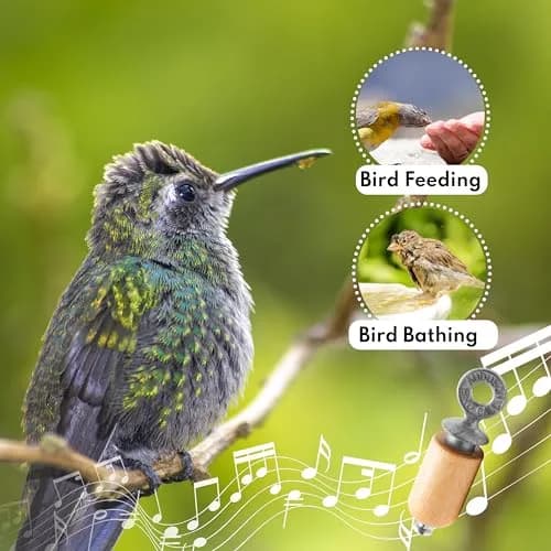 Audubon Natural Bird Call - 2.5" (6.35 cm) | Authentic USA-Sourced Bird Sound Imitator thumbnail 3