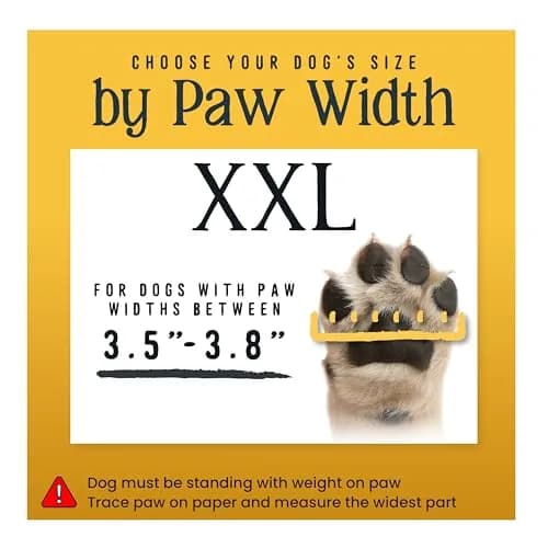 DOK TigerToes XXL Dog Socks (4-Pack, Cool Caramel) | Non-Slip Grip for Hardwood Floors & Senior Dogs thumbnail 5