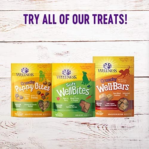 Wellness Soft Puppy Bites Lamb & Salmon Recipe Puppy Treats 16oz (454g) | Grain-Free Training Treats with DHA thumbnail 4