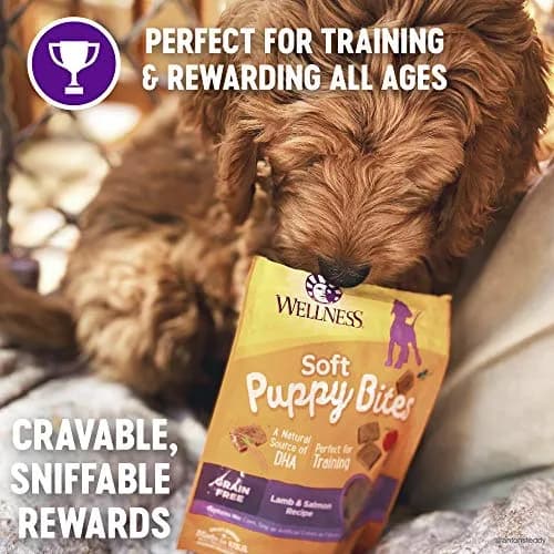 Wellness Soft Puppy Bites Lamb & Salmon Recipe Puppy Treats 16oz (454g) | Grain-Free Training Treats with DHA thumbnail 3