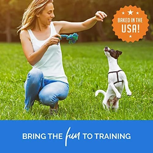 Buddy Biscuits Trainers Training Bites Soft & Chewy Dog Treats, Bacon, 10 oz. Pack of 2 | Low-Calorie, Natural Bacon Reward thumbnail 6